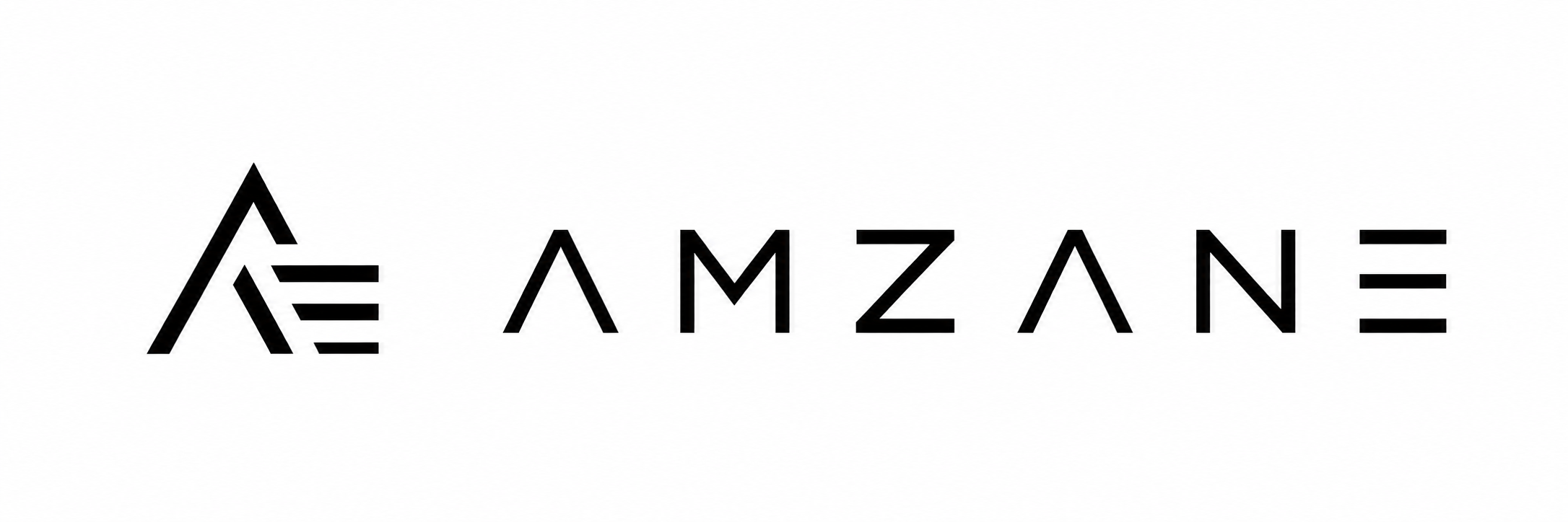 AMZANE Marketing - Agencia SEO en Alicante
